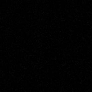 Meet your Posher, Lizzeth